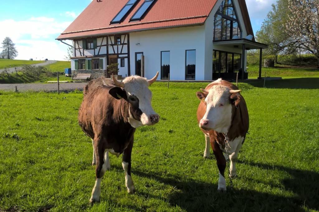 Ferienwohnung im Fachwerk mit Bergblick in Alleinlage Humberg Exterior foto