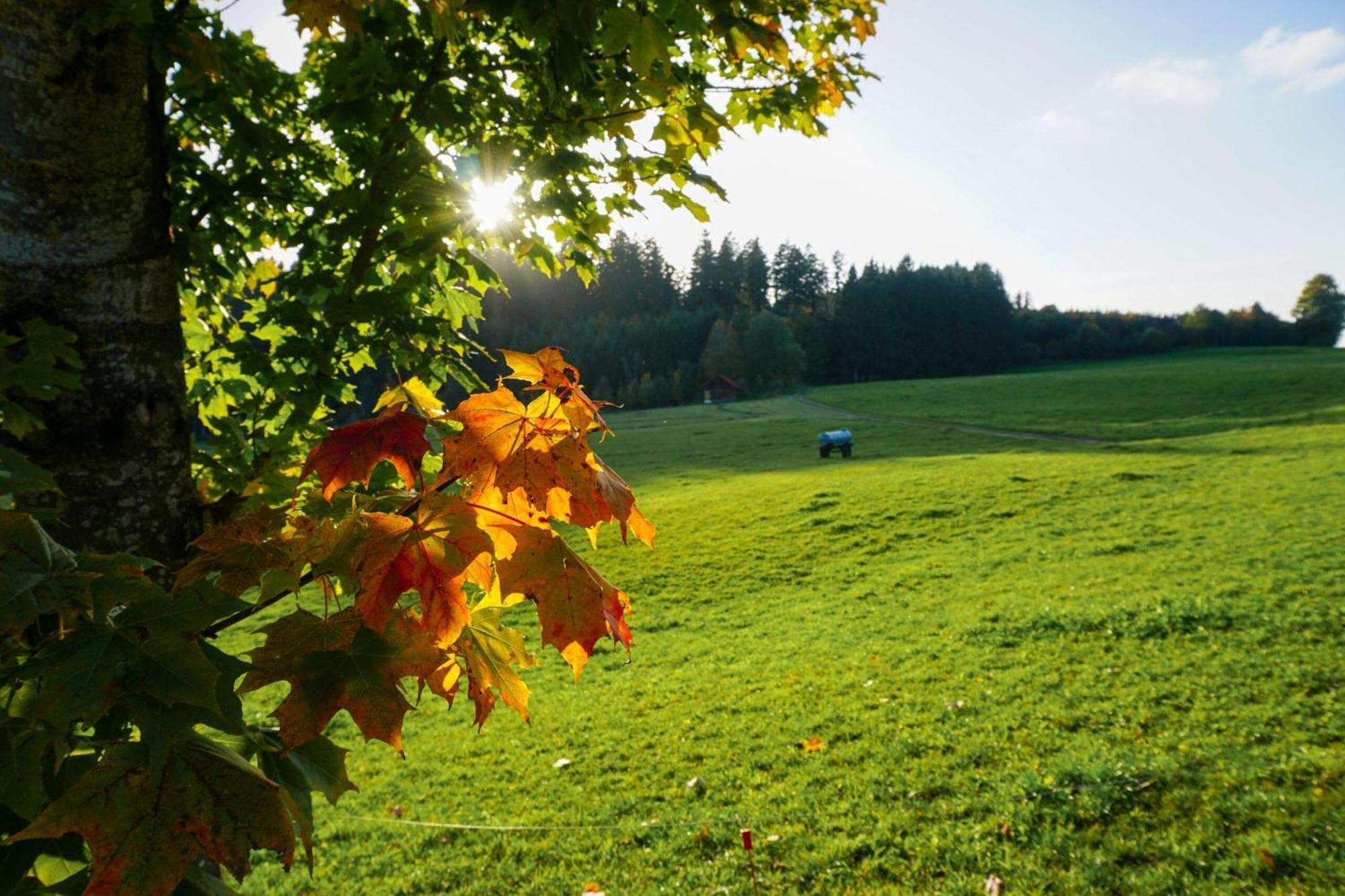 Ferienwohnung im Fachwerk mit Bergblick in Alleinlage Humberg Exterior foto